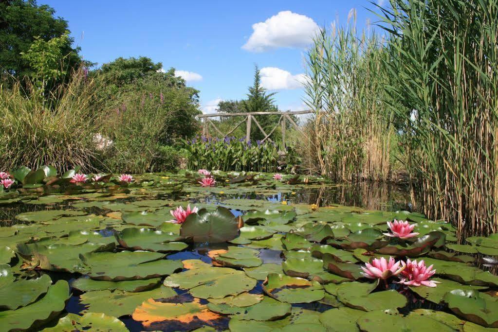 Auberge La Plaine Chabrillan Zewnętrze zdjęcie